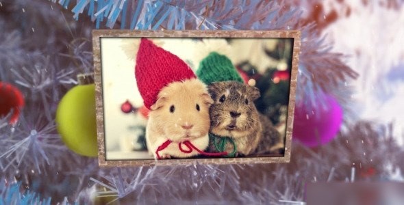 New Year Photo Album - Videohive