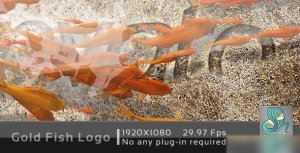 Videohive Gold Fish Logo Logo Stings template preview