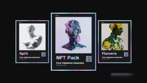 Videohive NFT Collection Promo 36433050 Openers template preview