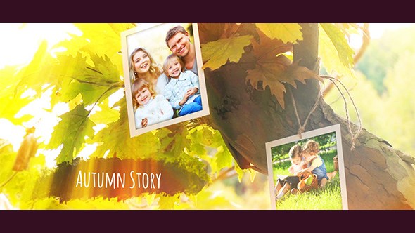 Videohive Photo Gallery 19104088 Video Displays template preview