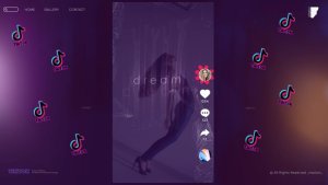 Videohive Particles Typography TikTok Elements Elements template preview