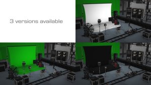 Videohive Video & Movie Production Company Logo Reveal Logo Stings template preview