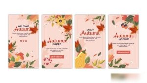 Videohive Hello Autumn Instagram Stories Product Promo template preview