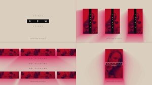Videohive Photo Opener 56968580 Openers template preview