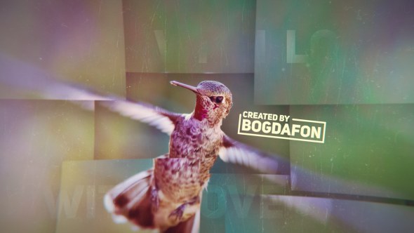 Inspirational Slideshow Video Displays template preview