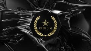 Videohive Elegant Reveal 52697939 Logo Stings template preview