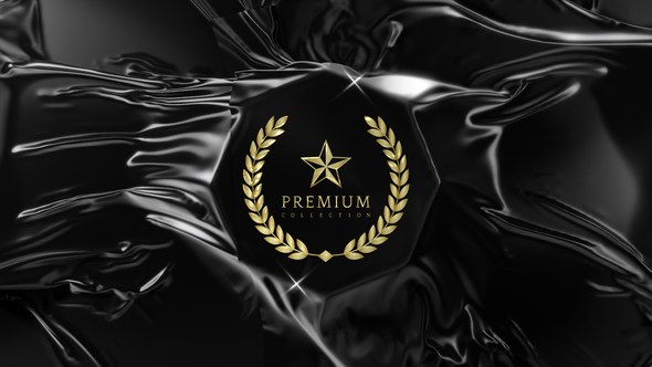 Videohive Elegant Reveal 52697939 Logo Stings template preview