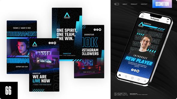 Videohive Streamer and Esport Stories Video Displays template preview