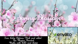Videohive Spring Blossom Openers template preview