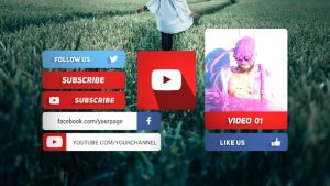 Modern Social Media Lower Thirds Video Displays template preview