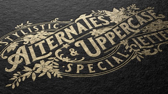 Videohive LOGO MOCKUP 53419232 Logo Stings template preview