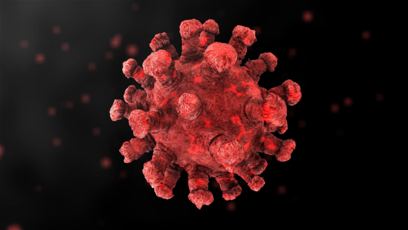 Videohive Corona Virus Intro 26088879 Titles template preview