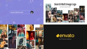 Videohive Search Multi Image Logo Elements template preview