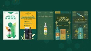 Videohive Cannabis Hemp Oil Products Instagram Sotires Video Displays template preview