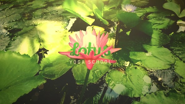 Videohive The Lotus Openers template preview