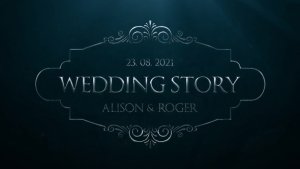 Videohive Silver Wedding Titles 57859225 Titles template preview