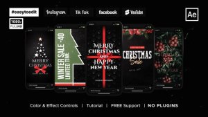 Christmas Instagram Stories & Posts Video Displays template preview