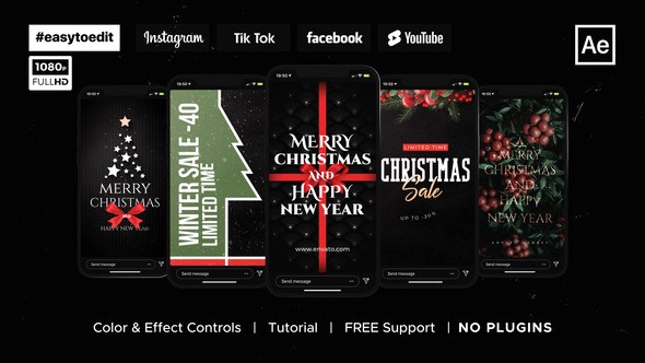 Christmas Instagram Stories & Posts Video Displays template preview