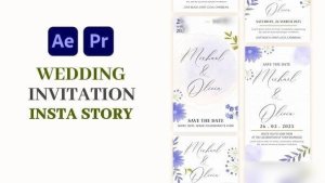 Videohive Wedding Invitation Instagram Story 58050078 Elements template preview
