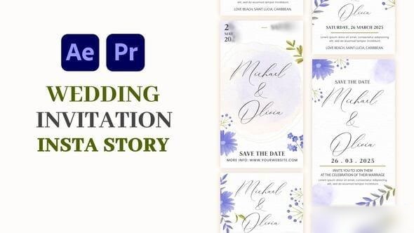 Videohive Wedding Invitation Instagram Story 58050078 Elements template preview