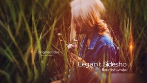 Videohive Inspiration Slideshow 22535061 Openers template preview