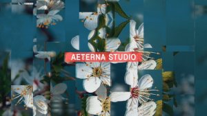 Videohive 3D Stomp Opener Openers template preview