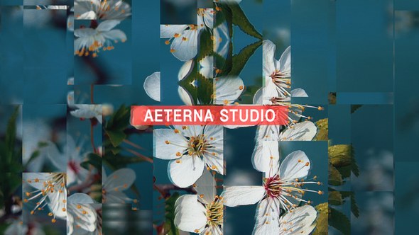 Videohive 3D Stomp Opener Openers template preview