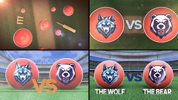 Videohive Cricket VS Logo Stings template preview