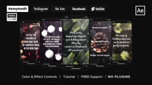 Christmas Greetings Instagram Stories Video Displays template preview