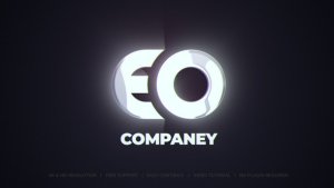 Videohive Logo Animation 50660323 Logo Stings template preview