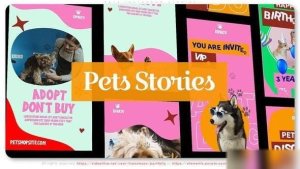 Videohive Pets Instagram Stories Openers template preview