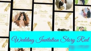 Videohive Wedding Invitation Instagram and TikTok Reel Openers template preview