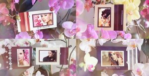 Videohive Photo Gallery in Flowers Video Displays template preview