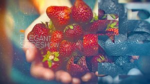 Gentle Elegant Slideshow Video Displays template preview
