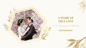 Videohive Our Wedding 53204050 Video Displays template preview