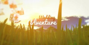 Videohive Wedding Adventure Video Displays template preview
