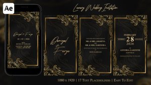 Videohive Luxury Wedding Invitation Openers template preview