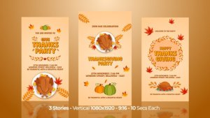 Videohive Thanksgiving Instagram Stories 60788847 Openers template preview