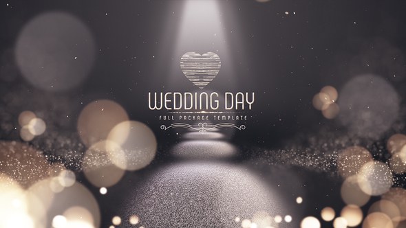 Videohive Wedding Day 22214341 Video Displays template preview