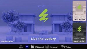 Videohive Luxury Real Estate 53812146 Logo Stings template preview
