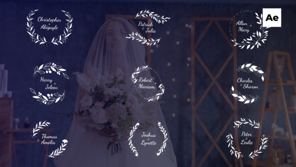 Videohive Wedding TItles 50850401 Titles template preview