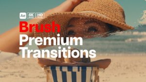 Videohive Premium Transitions Brush Elements template preview