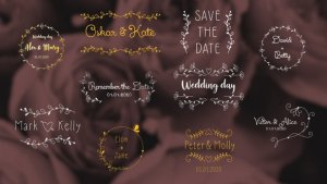 Videohive Wedding Day Titles | After Effects Titles template preview