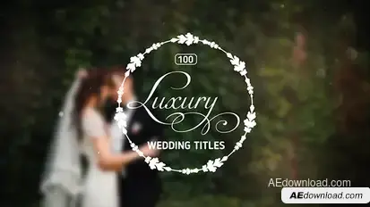 100 Luxury Wedding Titles Video Displays template preview