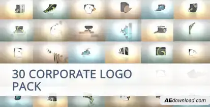 30 Corporate Logo Animation Pack Video Displays template preview