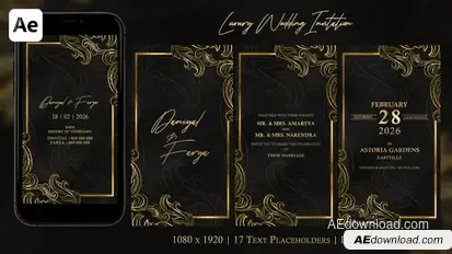 Luxury Wedding Invitation Openers template preview