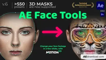 AE Face Tools Video Displays template preview