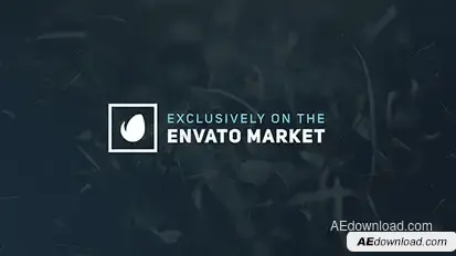 Animated Titles 3 Video Displays template preview
