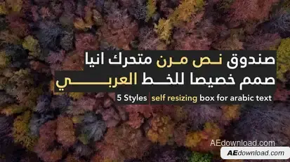 Arabic Stories Video Displays template preview