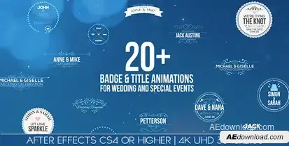Badges / Title Animations For Wedding And Special Events Video Displays template preview